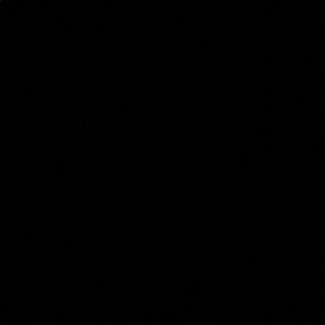 Meet your Posher, Westin